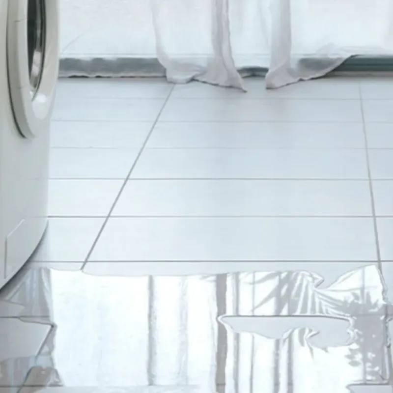 Appliance Leak Cleanup in Hometown, IL