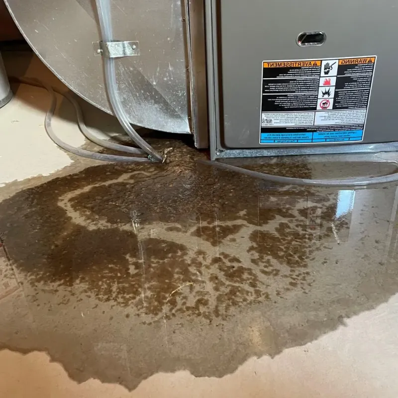 Pipe Burst and Leak Restoration in Hometown, IL