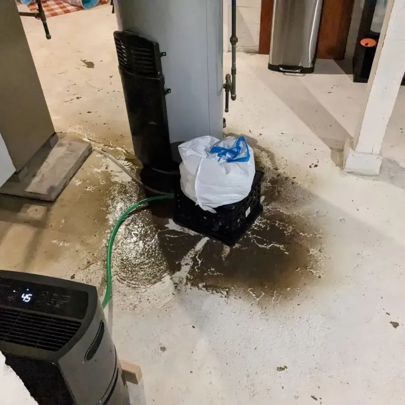 Sewage Backup Cleanup Service in Hometown, IL